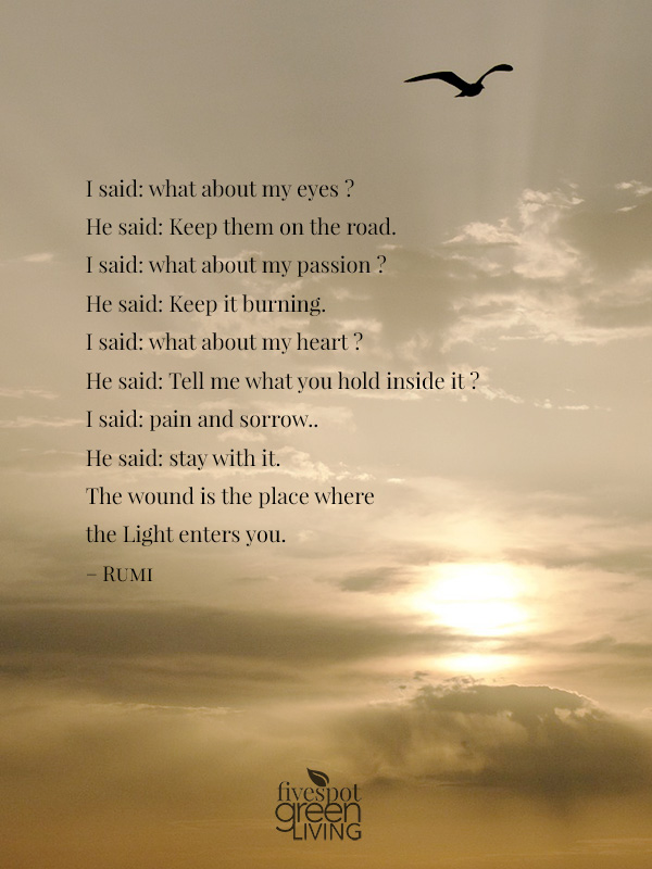 The wound is the place where the Light enters you.