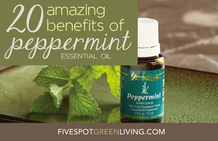 Essential Oils: 20 Uses of Peppermint Oil