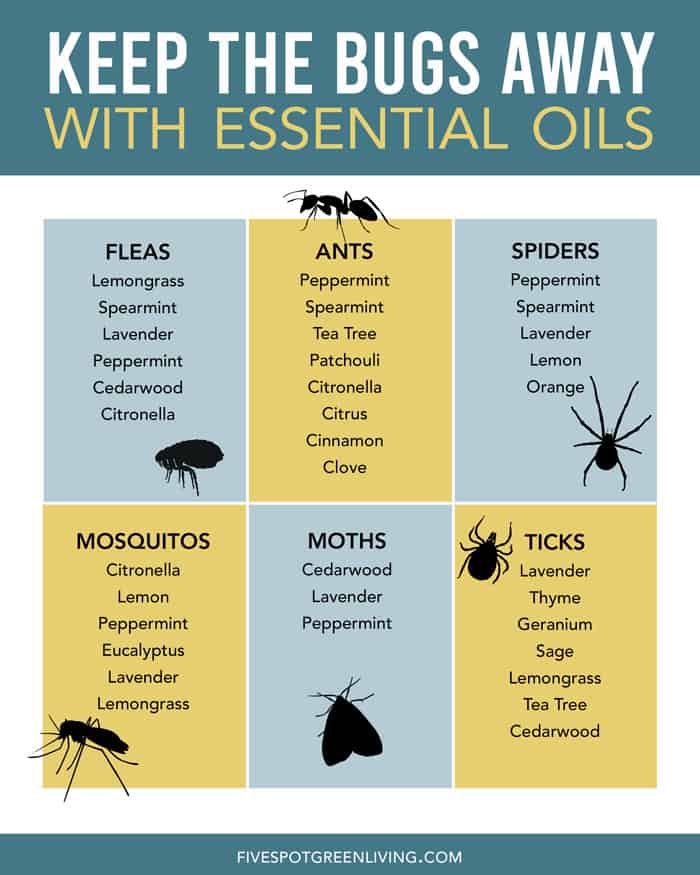 Getting Rid of Moths with Essential Oils