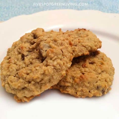 Easy Chickpea Oatmeal Cookies with Chocolate Chips