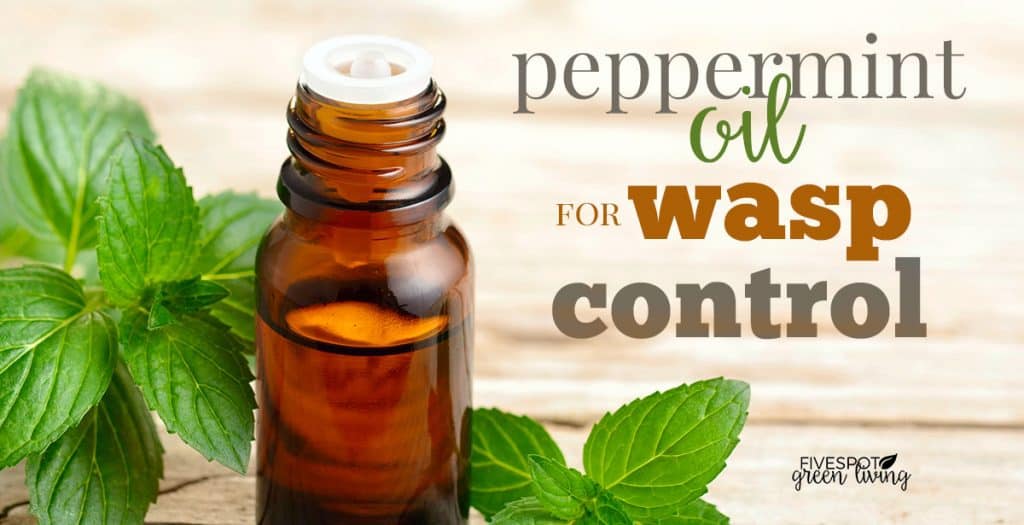 peppermint essential oil for wasps
