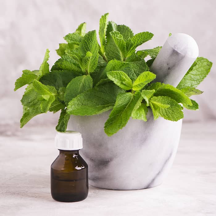 peppermint leaves. in mortar and pestle