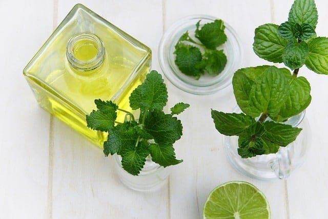 peppermint leaves