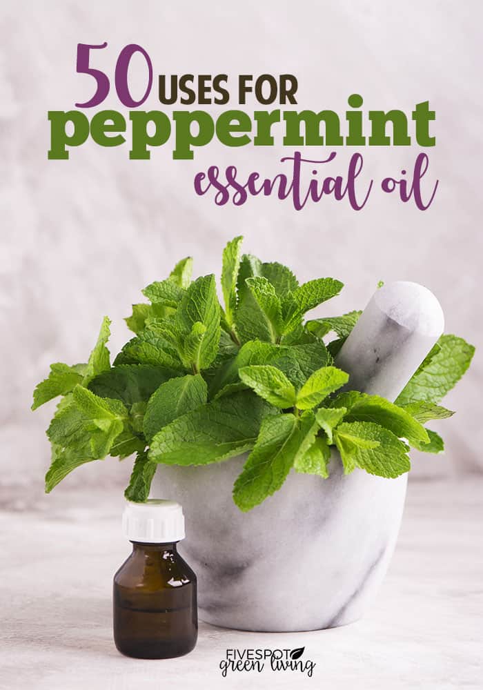 uses for peppermint oil