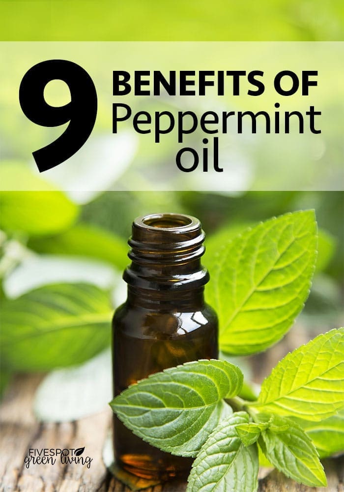 9 benefits of peppermint oil