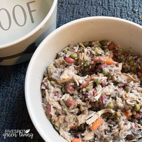 Easy and Cheap Dog Food Recipe - Five Spot Green Living