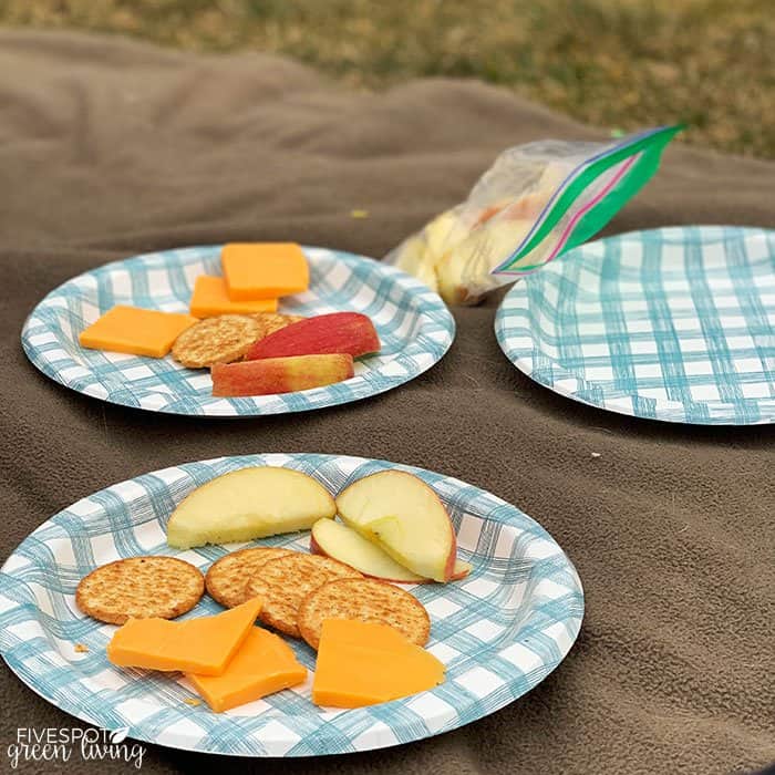 picnic outside on lawn