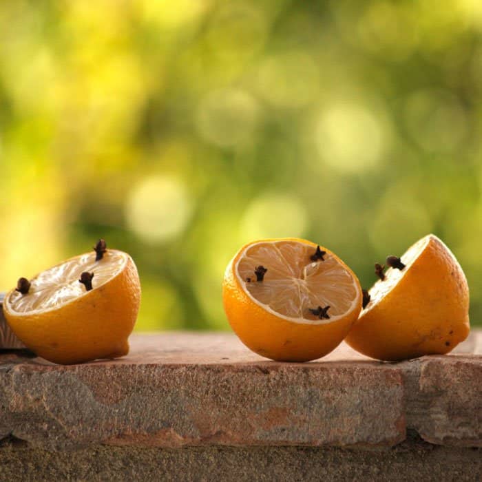lemons with cloves