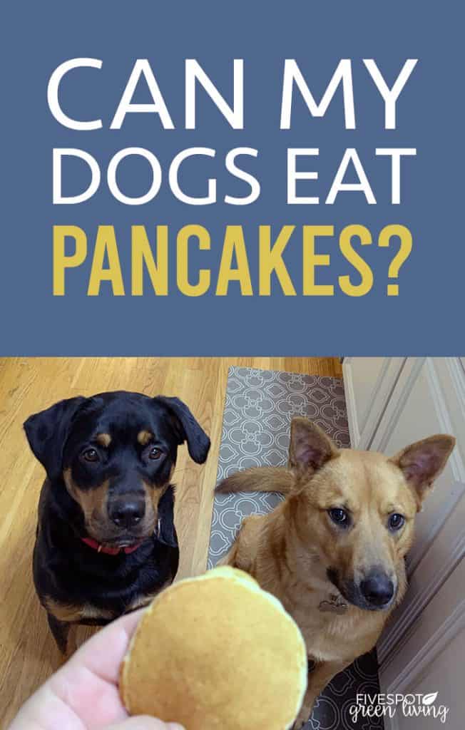 Can dogs have pancakes