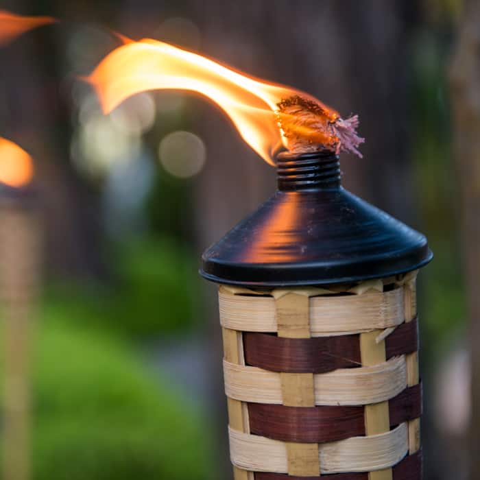 tiki torch for bugs