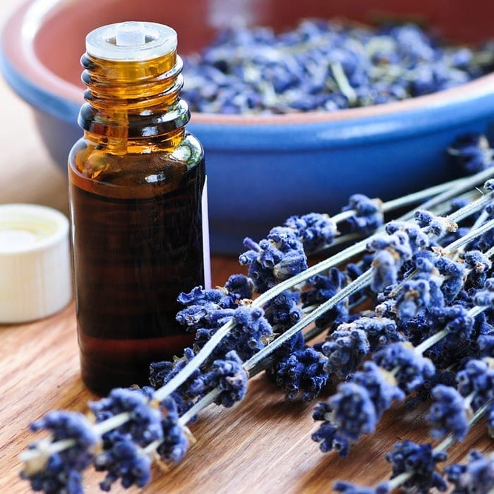 lavender oil