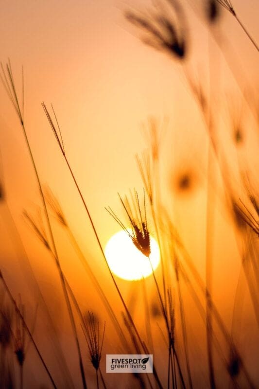 inspirational quotes for healing